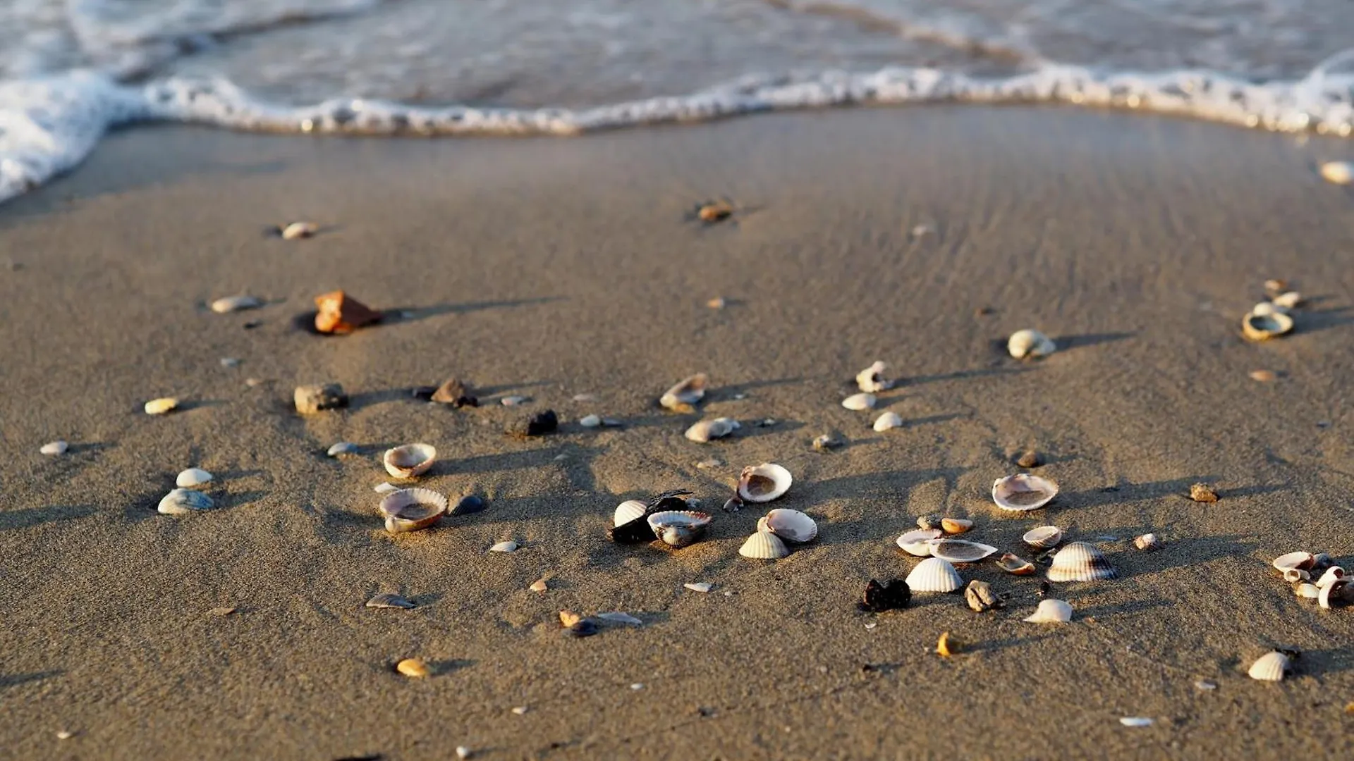 Charmimg Villa 500M From The Beach - Beahost Bibione Apartment